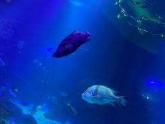 -沈阳海洋探索中心