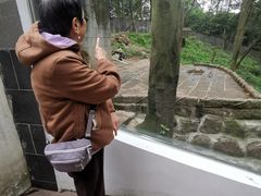 -中国大熊猫保护研究中心雅安碧峰峡基地