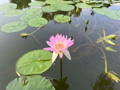 -国家植物园南园