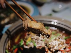 -猫头婴小酒馆FUN OWL(1912店)