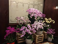 -海天楼中餐厅(吴宫泛太平洋酒店)