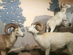 -陕西自然博物馆