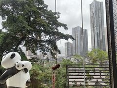 -嫩芽 ·地道重庆菜(十八梯露台夜景店)