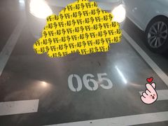 -白玉兰广场停车场