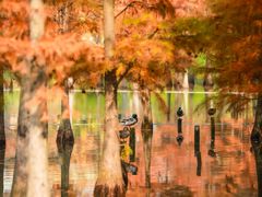 -白鹭湾湿地公园