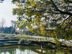 -岳麓山风景名胜区