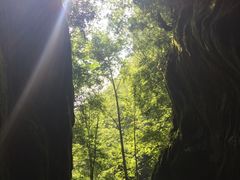 -牛背梁国家森林公园