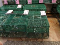 -荔城生鲜盛宴(番禺旗舰店)