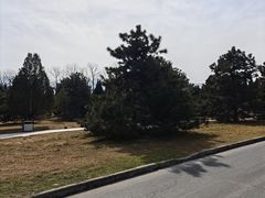 -秦始皇帝陵博物院-丽山园