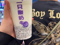 -一只酸奶牛(八一路店)