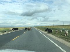-青海湖国家重点风景名胜区