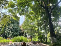 -成都市活水公园