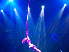 -珠海横琴长隆《卡卡虎奇遇记》