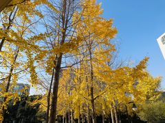 -方快-照相馆(长泰广场店)