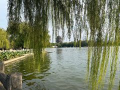 -济南大明湖景区