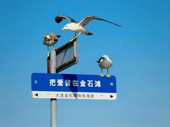 -大连金石滩滨海国家地质公园