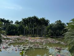 -中国科学院西双版纳热带植物园