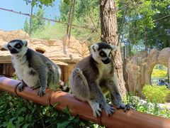 -北京野生动物园