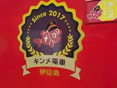 -伊豆观海列车