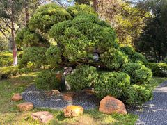 -广东温泉宾馆