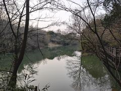 -白马涧龙池景区