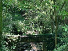 -神龙峡风景区
