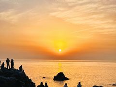 -小麦岛公园