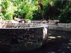 -三亚珠江南田温泉度假区