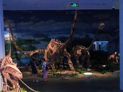 -自贡恐龙博物馆