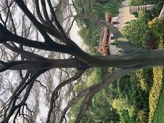 -深圳国际园林花卉博览园