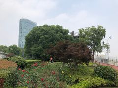 -北外滩滨江绿地
