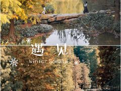 -云溪植物园