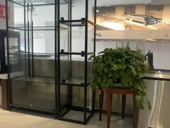 -青岛鸿发智越领克新能源中心