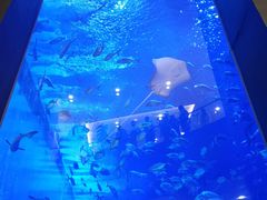 -成都浩海立方海洋公园