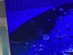 -箸福·夜上海(雨花客厅店)