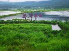 -腾冲北海湿地