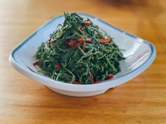 枸杞苗-三益轩(总店)