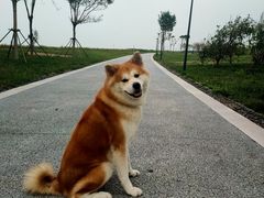 -东堤公园