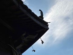-飞来湖湿地公园