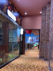 -卡通尼·Safari非洲探索乐园·生日会(金桥国际商业广场店)