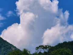 -王顺山国家森林公园