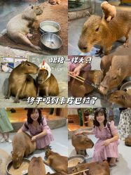 -Zoolung Zoolung动物主题公园(海信广场店)