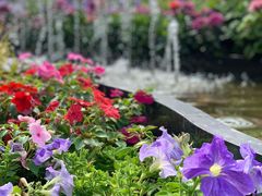 -海心沙亚运公园