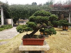 -水绘园