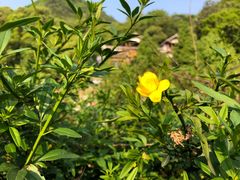 -贵阳市花溪国家城市湿地公园