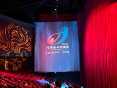 -水秀国际大剧院