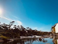 -罗红摄影艺术馆