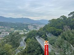 -福道