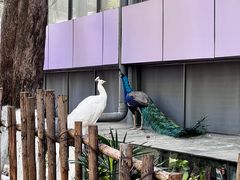 -昆明动物园