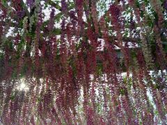 -济南方特东方神画